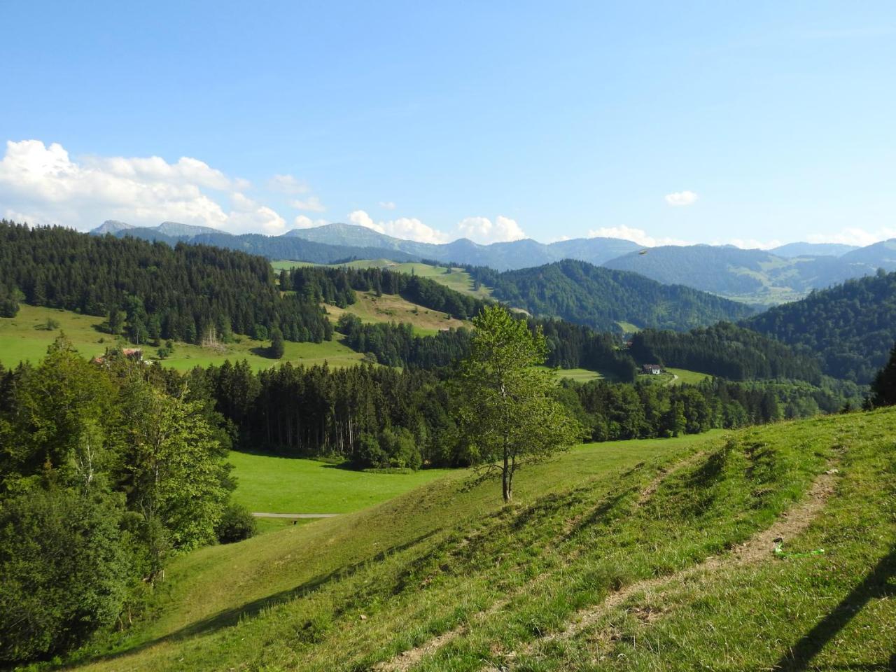 Ferienwohnungen Am Schlossberg Oberstaufen Exterior photo